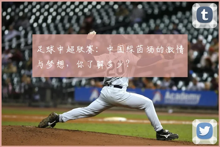 足球中超联赛：中国绿茵场的激情与梦想，你了解多少？