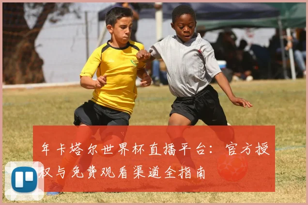 年卡塔尔世界杯直播平台：官方授权与免费观看渠道全指南