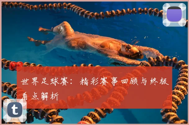 世界足球赛：精彩赛事回顾与终极看点解析